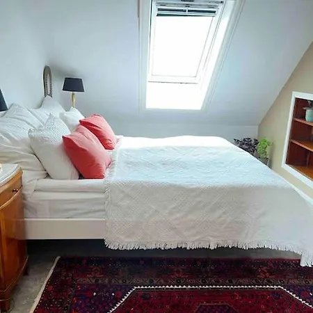 Leilighet 2br With Balconies And Art In Historical Area *