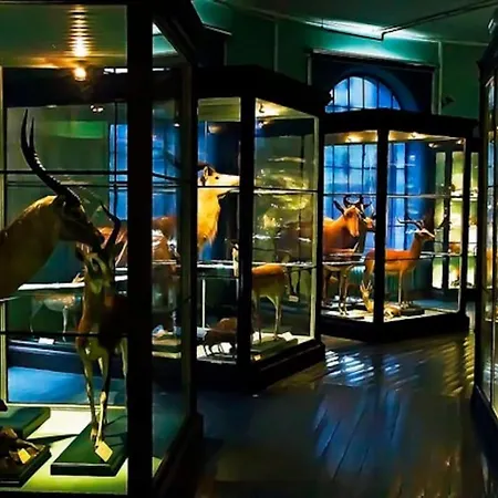 2br With Balconies And Art In Historical Area * Берген