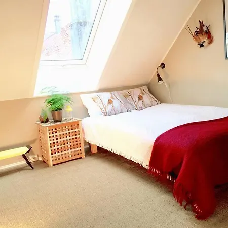 2br With Balconies And Art In Historical Area