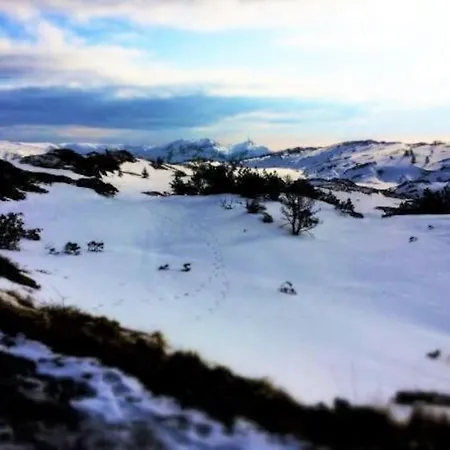 2br With Balconies And Art In Historical Area *